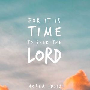 Meet your Posher, Arina